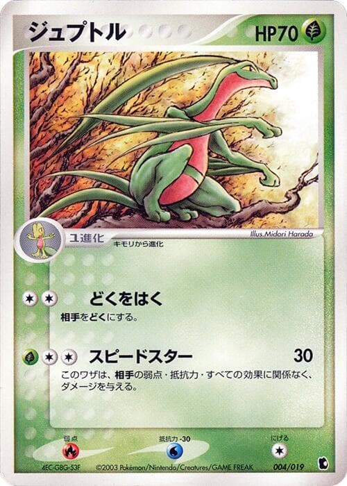 Grovyle 004/19
