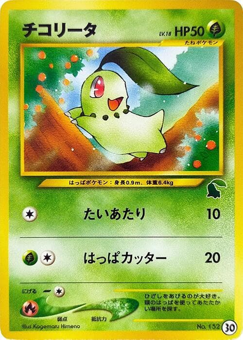 Chikorita 30