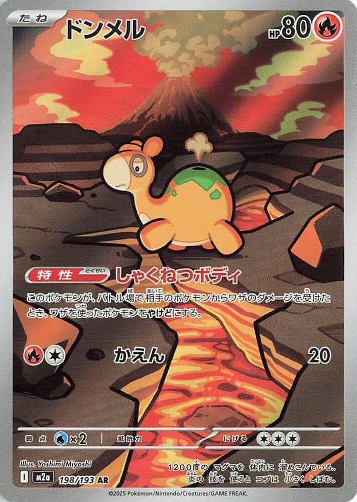 Numel 198/193