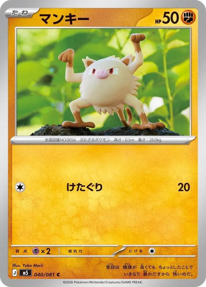 Mankey 040/81